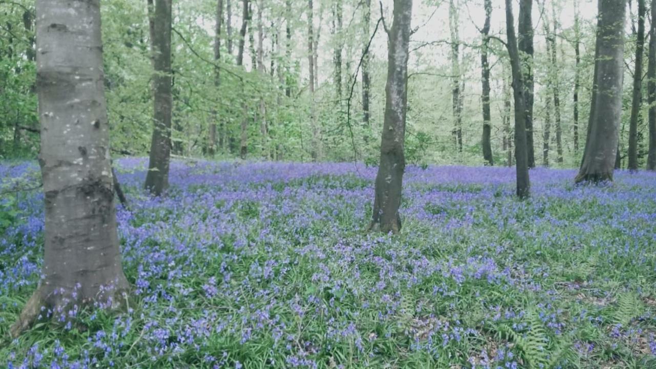 Moyola River Cottage Magherafelt Εξωτερικό φωτογραφία